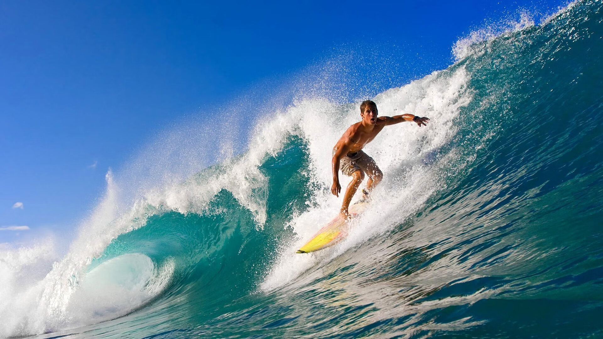 利拉德狂飙如入无人之境,森林狼铁蹄踏碎黄蜂防线